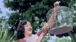 Panchhi Banoo Udti Phiroon
